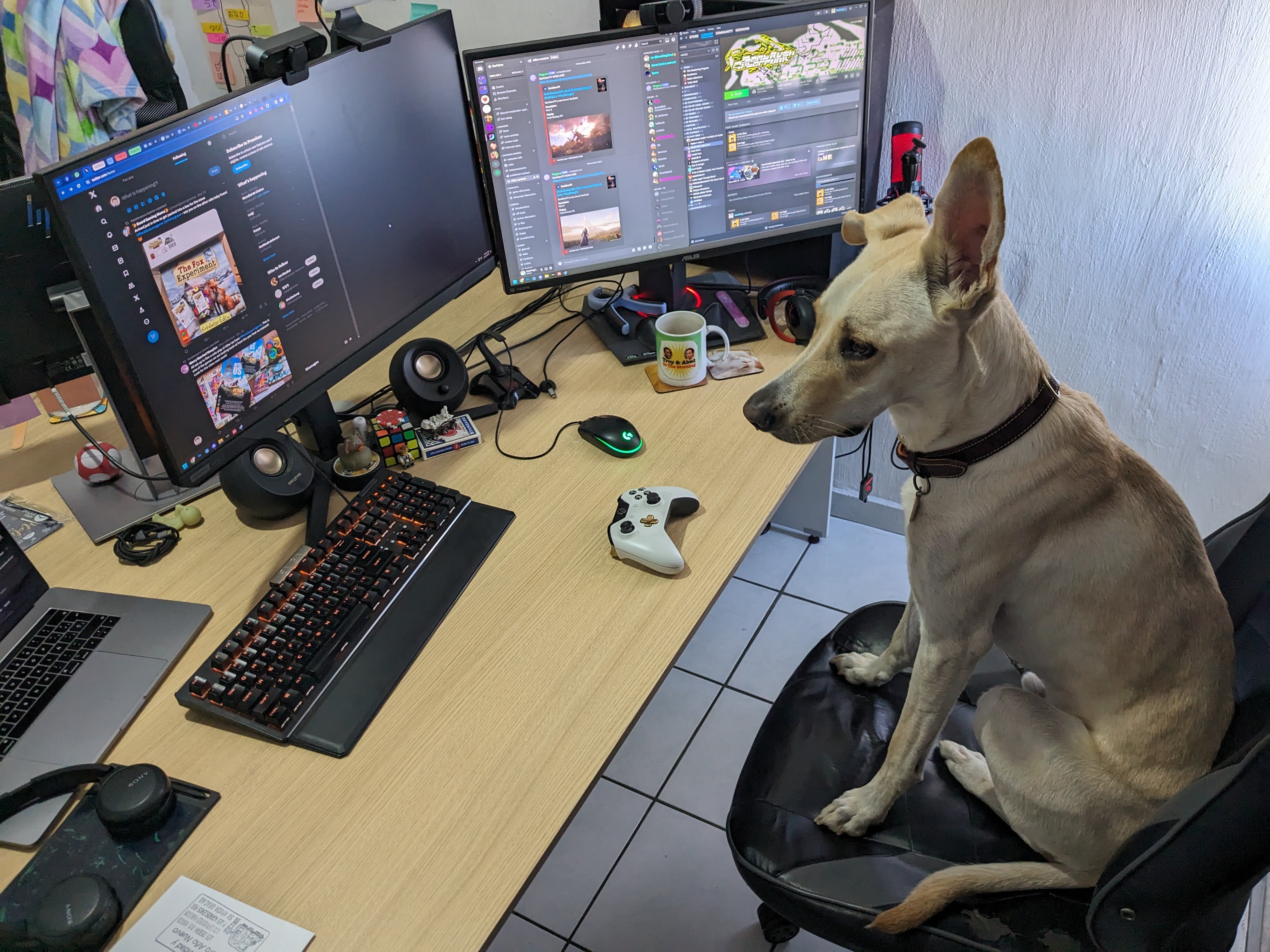 Coming soon preview image